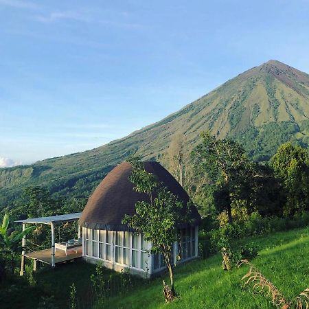 Manulalu Jungle Hotel Bajawa Eksteriør billede