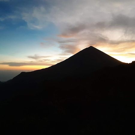 Manulalu Jungle Hotel Bajawa Eksteriør billede