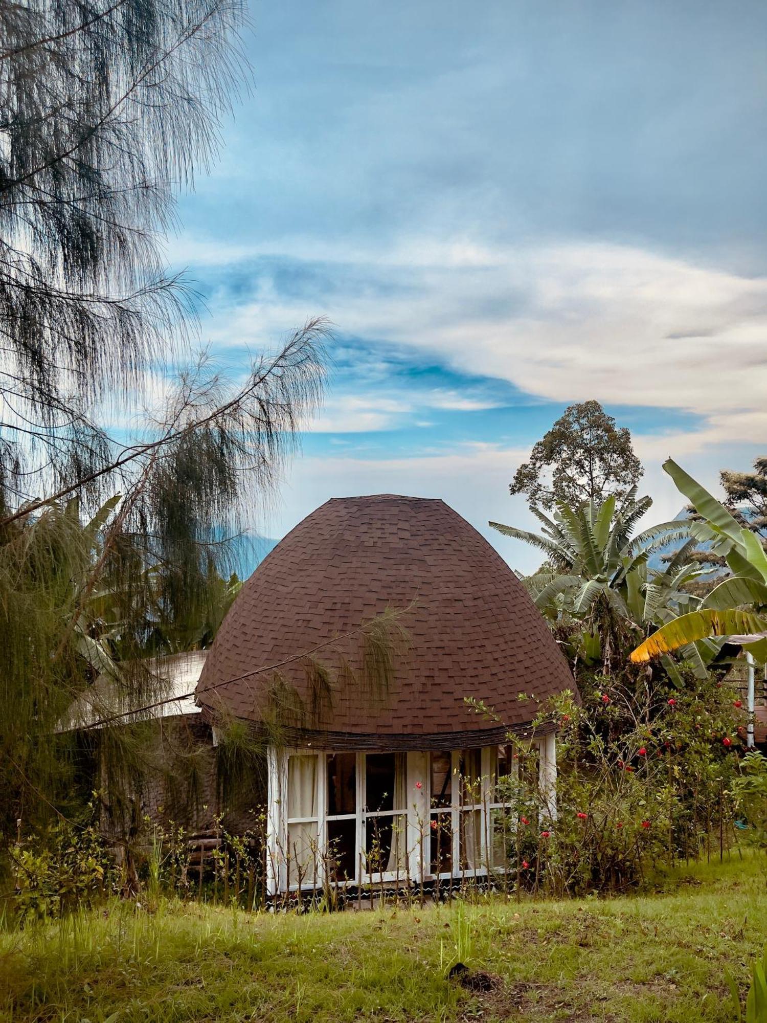 Manulalu Jungle Hotel Bajawa Eksteriør billede