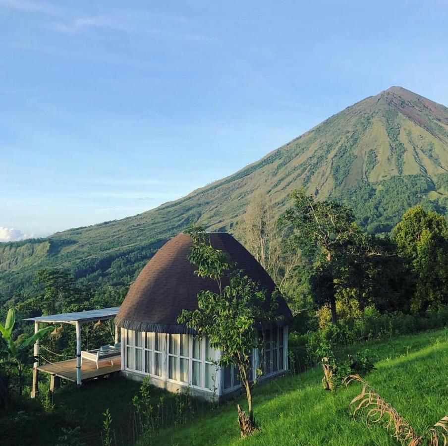 Manulalu Jungle Hotel Bajawa Eksteriør billede