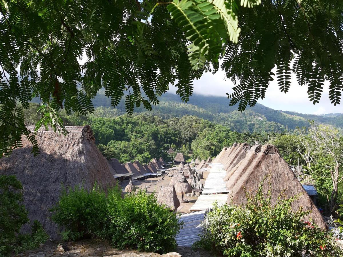 Manulalu Jungle Hotel Bajawa Eksteriør billede
